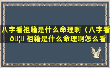 八字看祖籍是什么命理啊（八字看 🦋 祖籍是什么命理啊怎么看 🦄 ）